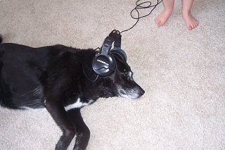 Random Photos